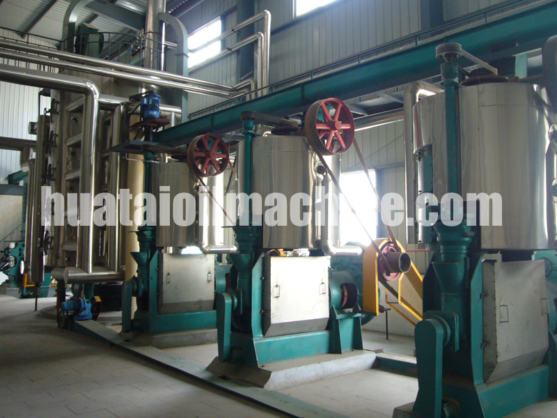 corn germ oil press machine/corn germ oil extraction machine/corn germ oil mill
